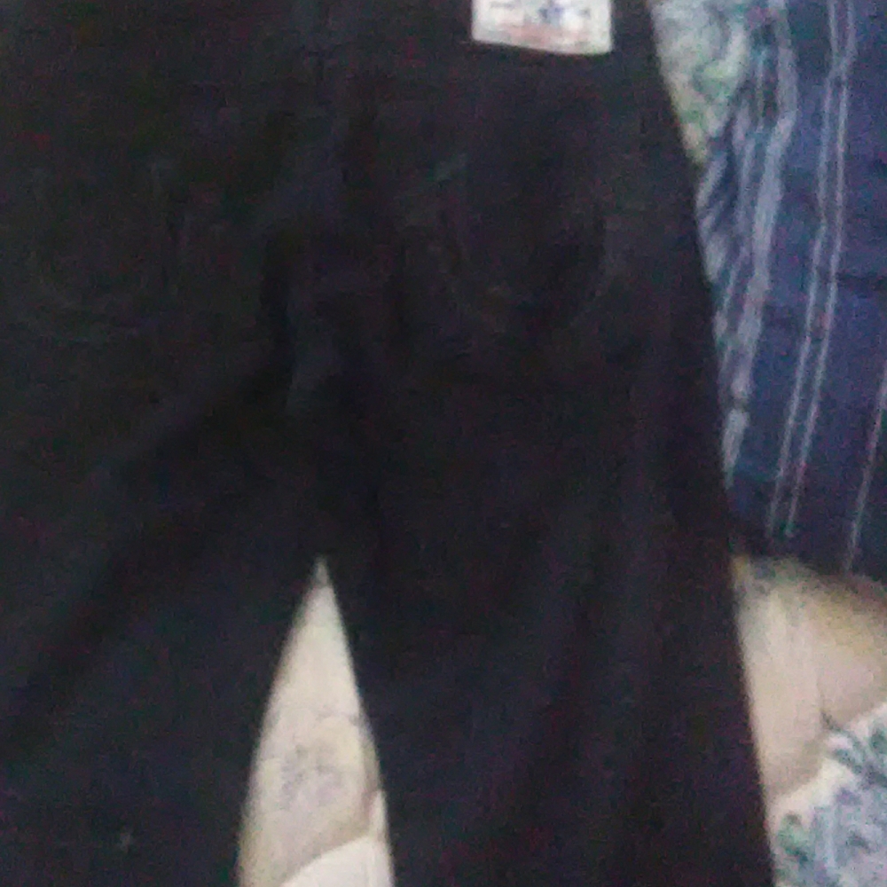 Pant